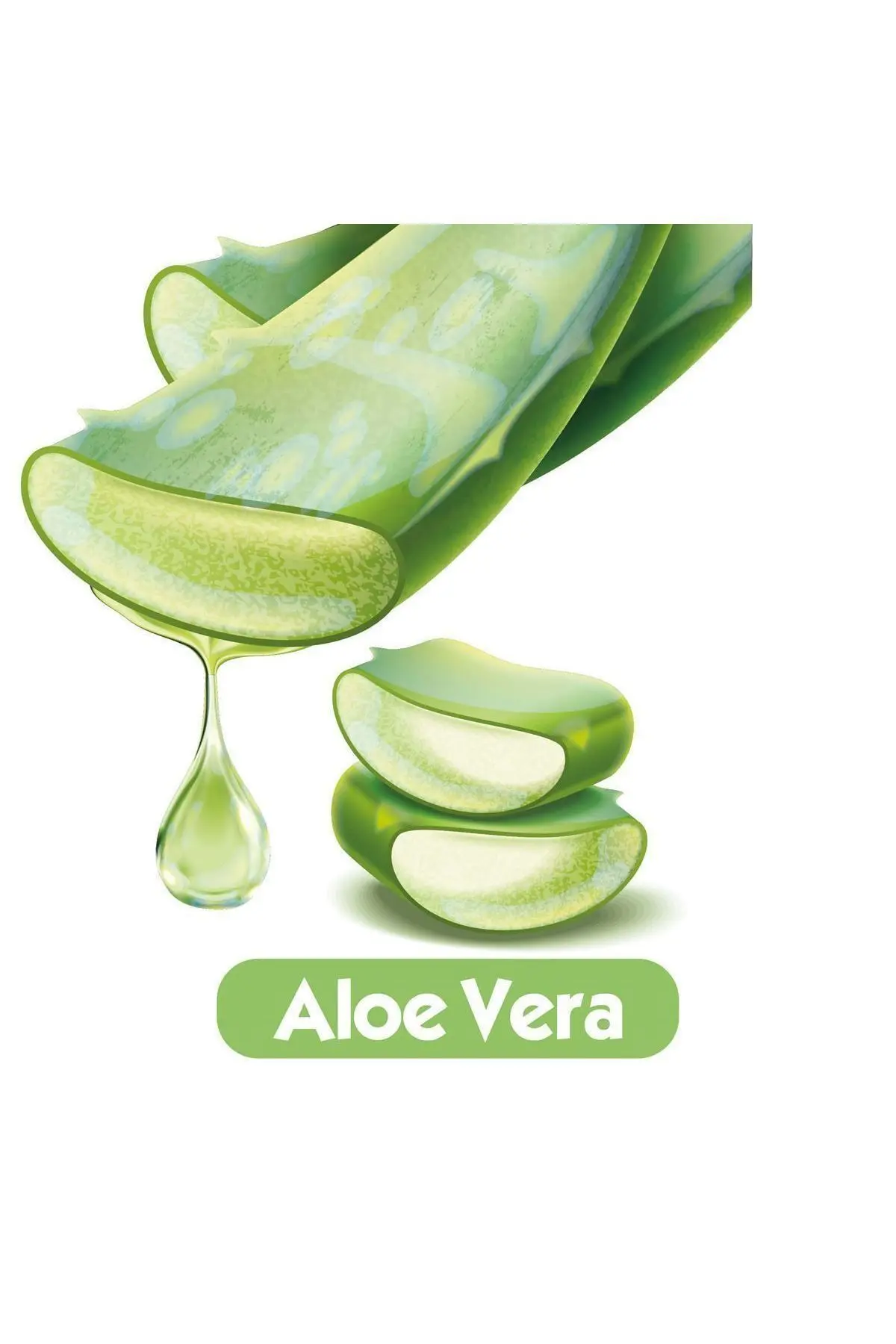 Softcare Aloe Vera Islak Bebek Havlusu 24x90 Yaprak