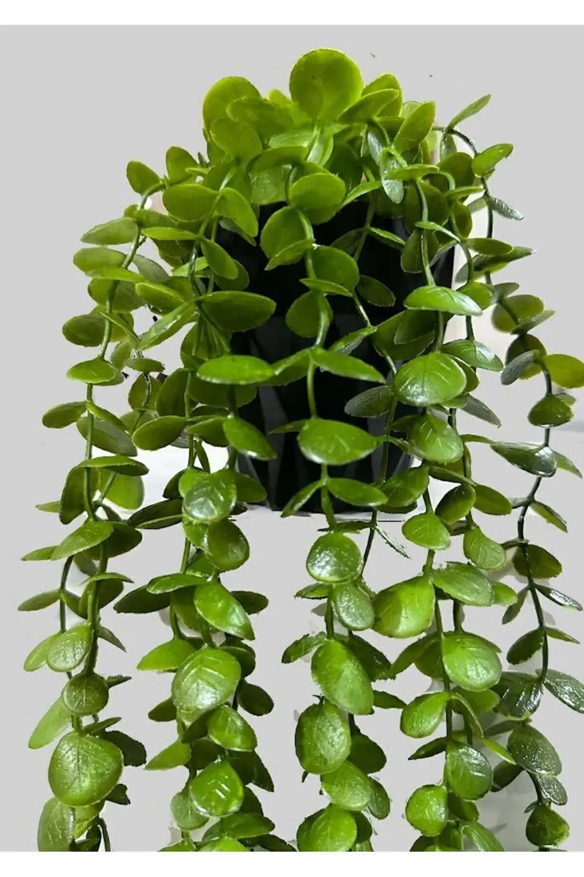 Yapay Çiçek Elmas Saksıda 80 Cm Yoğun Yapraklı Koyu Yeşil Okaliptus Sarkıt