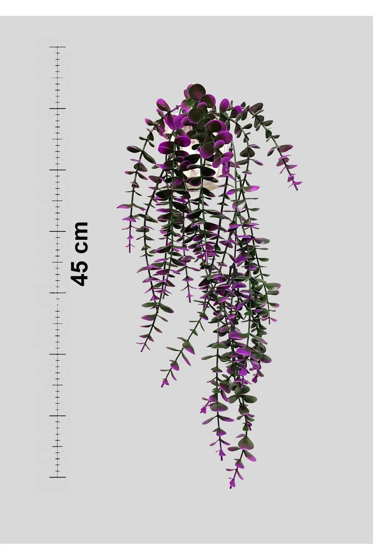 Özel Tasarım Iki Renkli Elmas Beyaz Saksılı Mor - Yeşil Okaliptus Sarkıtı
