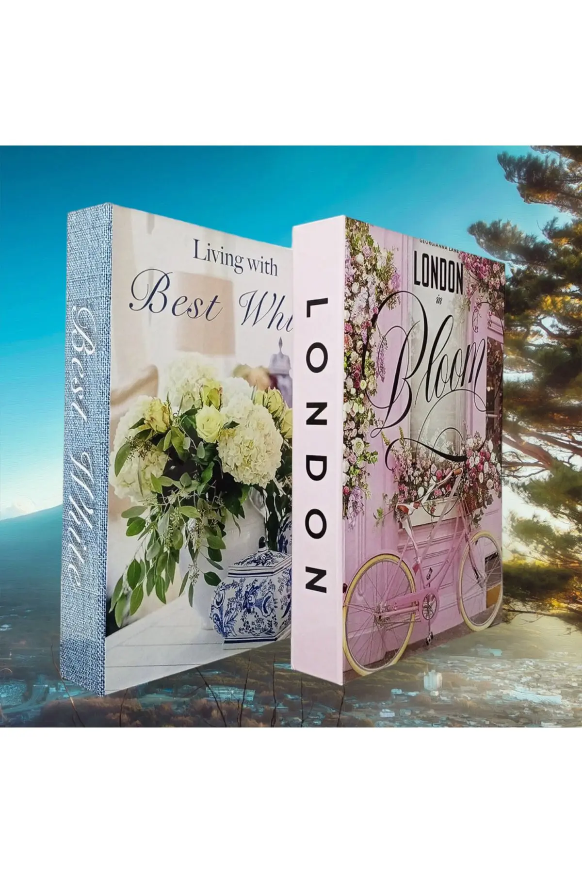 BayCazip Dekoratif Kitap Görünümlü Kutu 2'li Set Decorative Book Looking Box