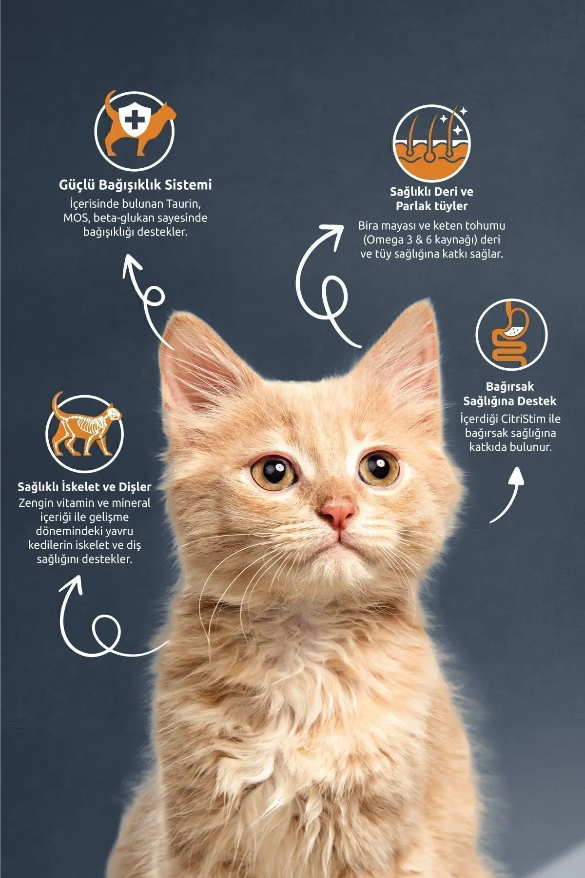 Kitten Tavuklu Yavru Kedi Maması 2 Kg