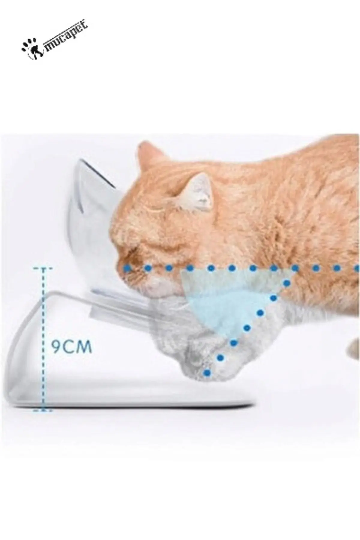 Şeffaf Kedi Kafalı Ikili Mama Kabı