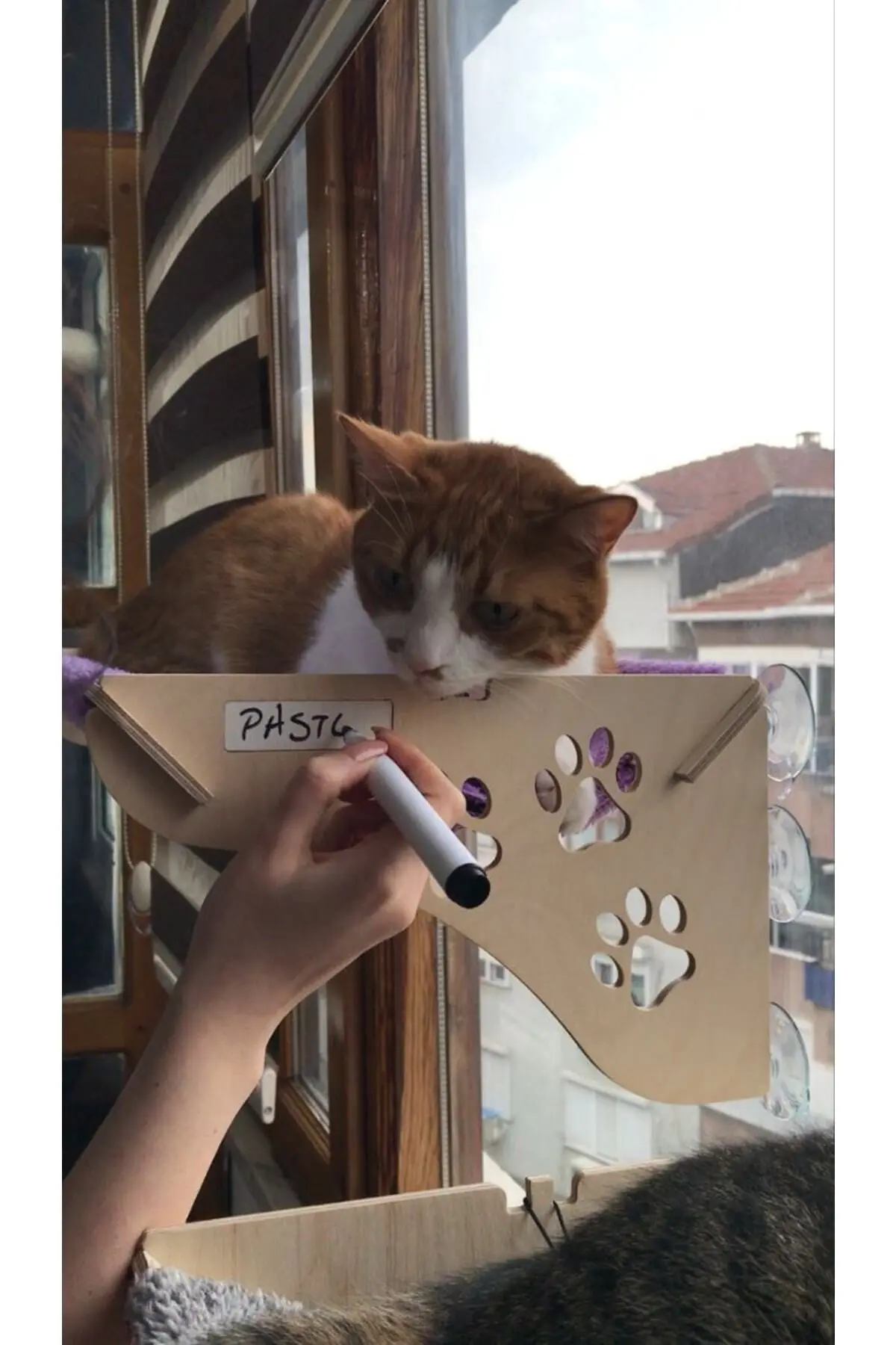 Cama Asılan Kedi Yatağı Vantuzlu