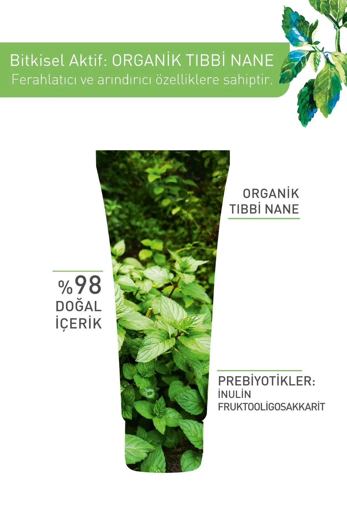 Karma, Yağlı Ve Akneye Eğilimli Ciltler Için Pure Menthe Kömür Maske-75 ml
