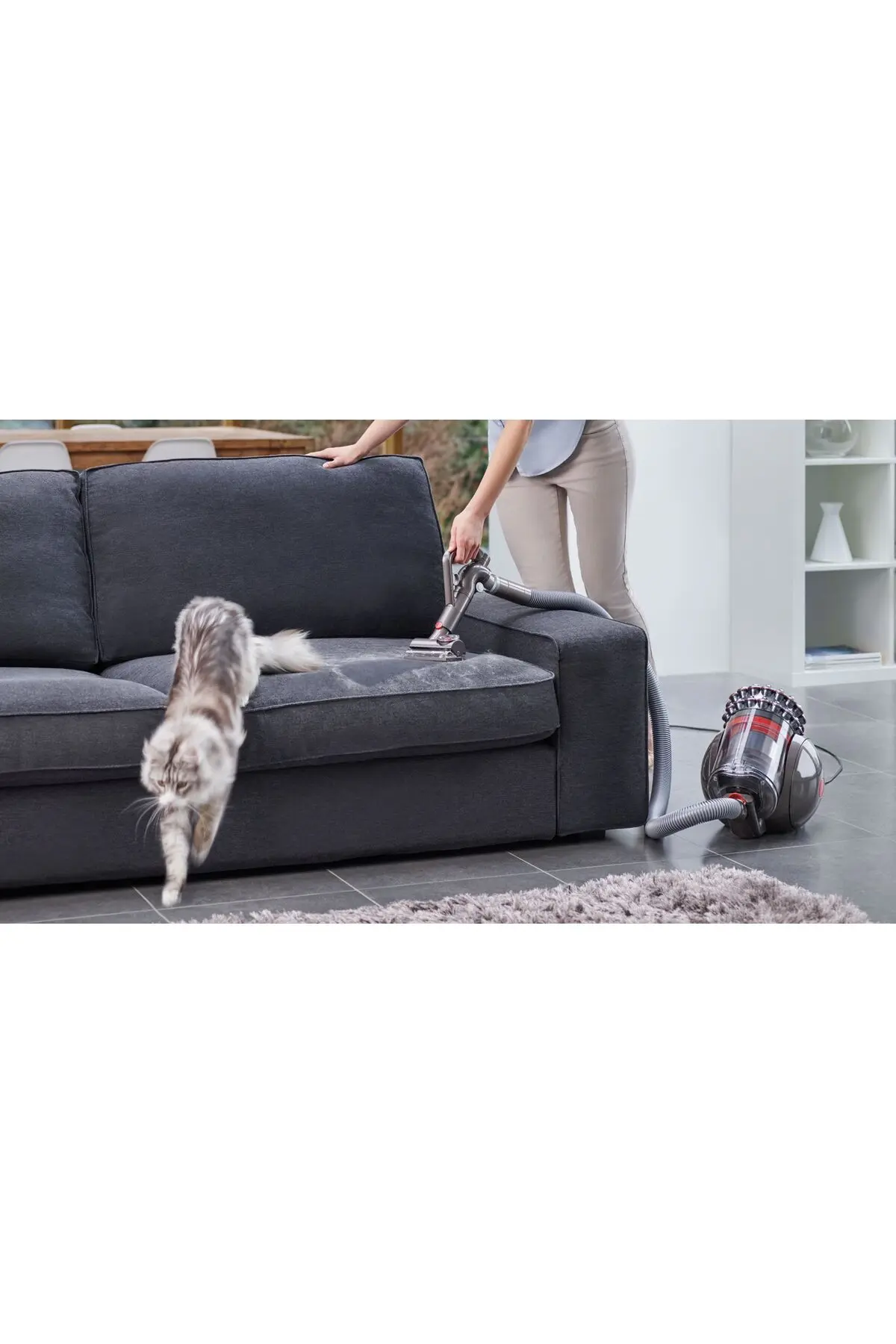 Cinetic Big Ball Absolute 2 Kablolu Süpürge