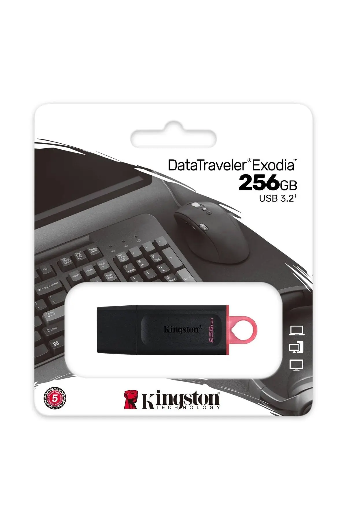 DTX 256GB USB 3.2 Gen.1 Flash Bellek DataTraveler Exodia DTX/256 USB Bellek