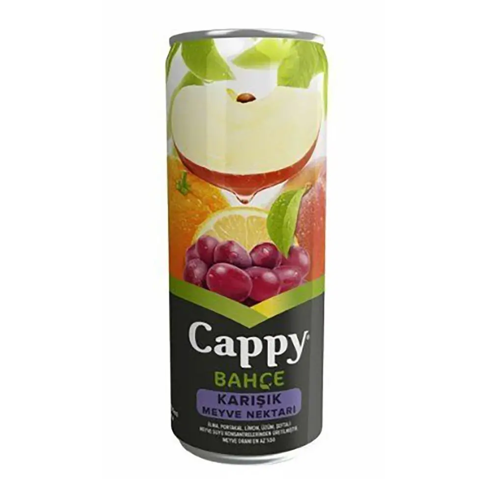 Cappy Karışık (33 cl.)